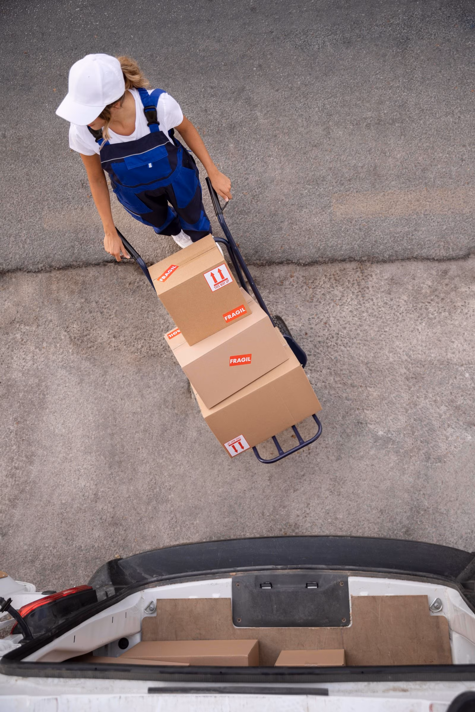 Forest Movers crew member loading packed boxes onto a dolly